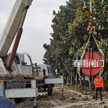 廠家案例5：鑄鐵圓閘門現(xiàn)場吊裝圖